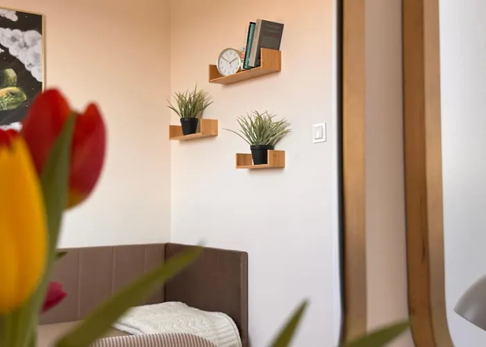 Apartment Podniebny - 4 Sypialnie - Apartments, Osiedle Tuwima Park - Olsztyn (Warmian-Masurian)